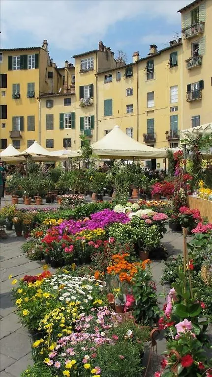 Affittacamere Hotel Angelini Dal 1911 Lucca