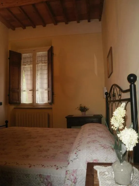 Angelini Dal 1911 Hotel Lucca Italy