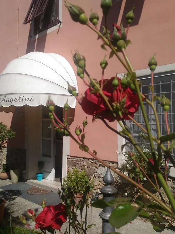 Angelini Dal 1911 Hotel Lucca Italy